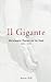 Il Gigante: Michelangelo, Florence and the David, 1492-1504