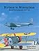 Biplane to Monoplane: Aircraft Development, 1919-39