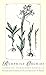 Rumphius' Orchids: Orchid Texts from "The Ambonese Herbal"