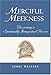 Merciful Meekness: Becoming a Spiritually Integrated Person