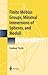 Finite Möbius Groups, Minimal Immersions of Spheres, and Moduli (Universitext)