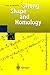 Strong Shape and Homology (Springer Monographs in Mathematics)