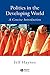 Politics in the Developing World: A Concise Introduction