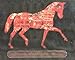 The Horse in the Twentieth Century