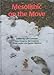 Mesolithic on the Move: Papers Presented at the Sixth International Conference on the Mesolithic in Europe, Stockholm 2000