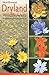 Dryland Wildflowers Sagebrush - Ponderosa