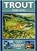 Trout Fishing Tactics