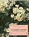 Climbing Roses: Their Care and Cultivation (Illustrated Monographs / Classic Garden Plants Series)