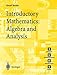 Introductory Mathematics: Algebra and Analysis
