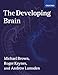 The Developing Brain