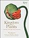 Kingdom of Plants: A Journey Through Their Evolution