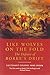 Like Wolves on the Fold the Defence of Rorke's Drift