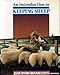 An Introduction to Keeping Sheep
