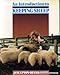 An Introduction to Keeping Sheep