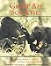 Great Ape Societies