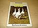 Keeping Domestic geese