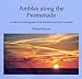 Ambles Along the Promenade: A Collection of Photographs of the bright and Hove Promenade