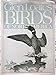 Birds of North America