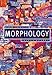 Morphology (Palgrave Modern Linguistics)