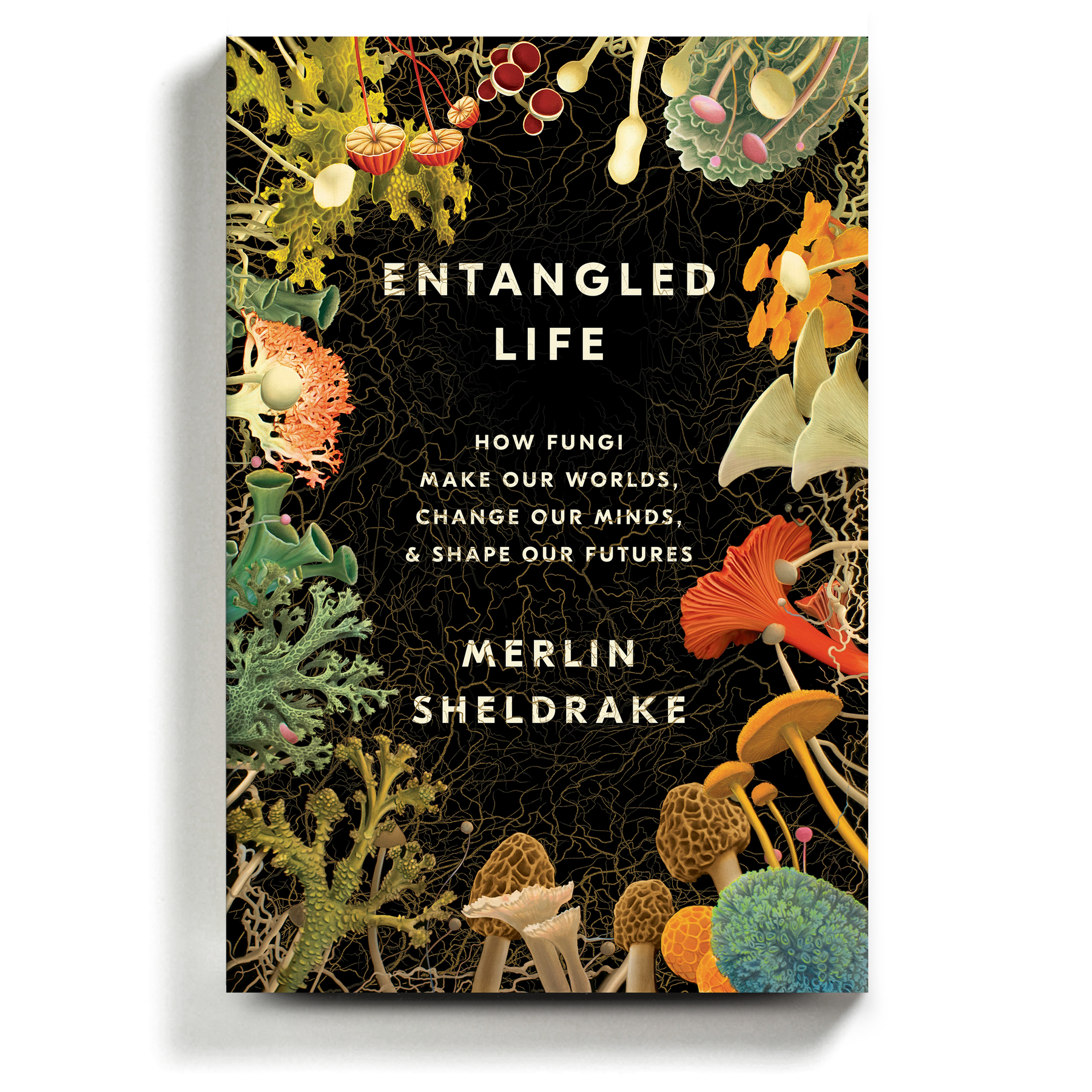 Entangled lives