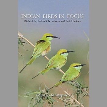 Indian Birds in Focus: Birds of the Indian Subcontinent and their Habitats