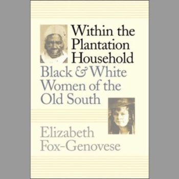 Within the Plantation Household : Black and White Women of the Old South