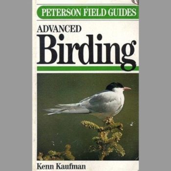 Field Guide to Advanced Birding (Peterson Field Guides)
