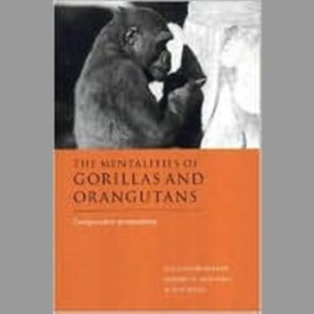 The Mentalities of Gorillas and Orangutans: Comparative Perspectives