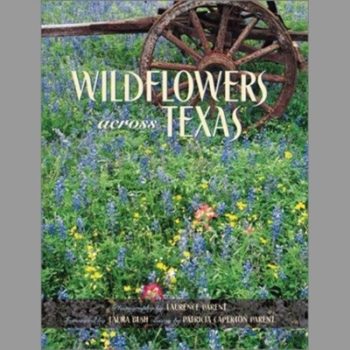 Wildflowers Across Texas