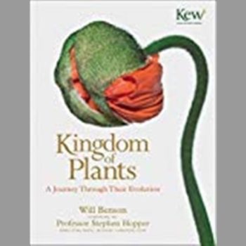 Kingdom of Plants: A Journey Through Their Evolution