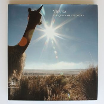 Vicuña: The Queen of the Andes