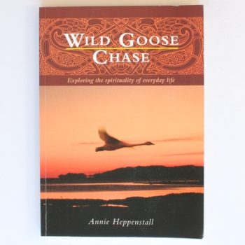 Wild Goose Chase: Exploring the spirituality of everyday life