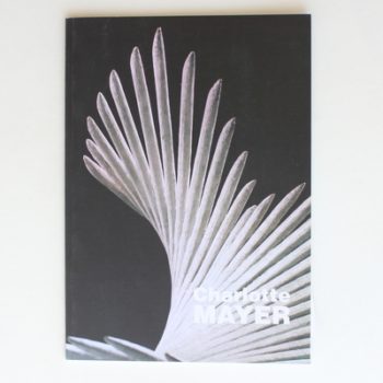 Charlotte Mayer: Recent Sculpture