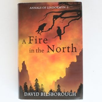 A Fire in the North: Annals of Lindormyn 2