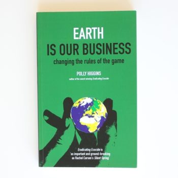 Earth is Our Business: Changing the Rules of the Game