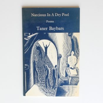 Narcissus in a Dry Pool: Poems