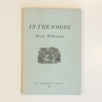 In the Woods