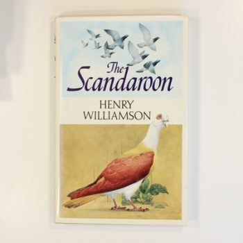 The Scandaroon