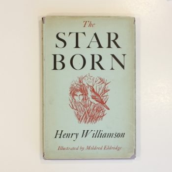The Star Born