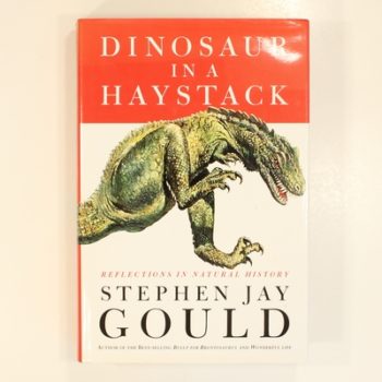 Dinosaur in a Haystack