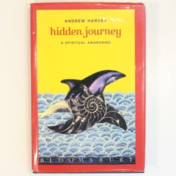 Hidden Journey: A Spiritual Awakening