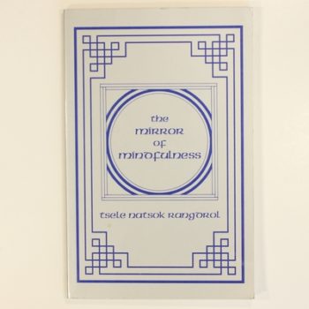Mirror of Mindfulness