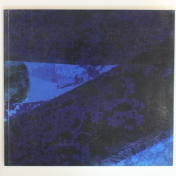 Howard Hodgkin: Venetian Views 1995