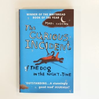 The Curious Incident of the Dog in the Night-time