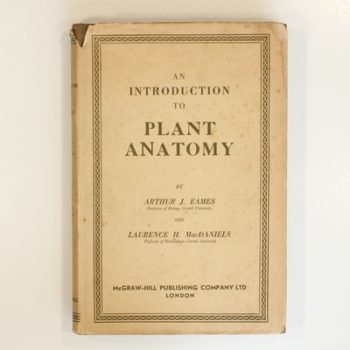 An Introduction to Plant Anatomy