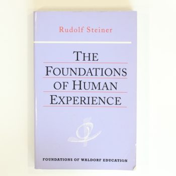 The Foundations of Human Experience