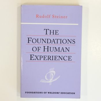 The Foundations of Human Experience