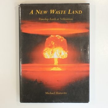 A New Waste Land: Timeship Earth at Nillennium