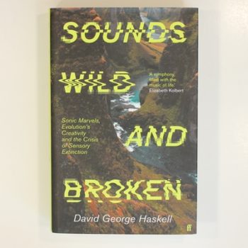 Sounds Wild and Broken