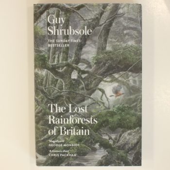 The Lost Rainforests of Britain